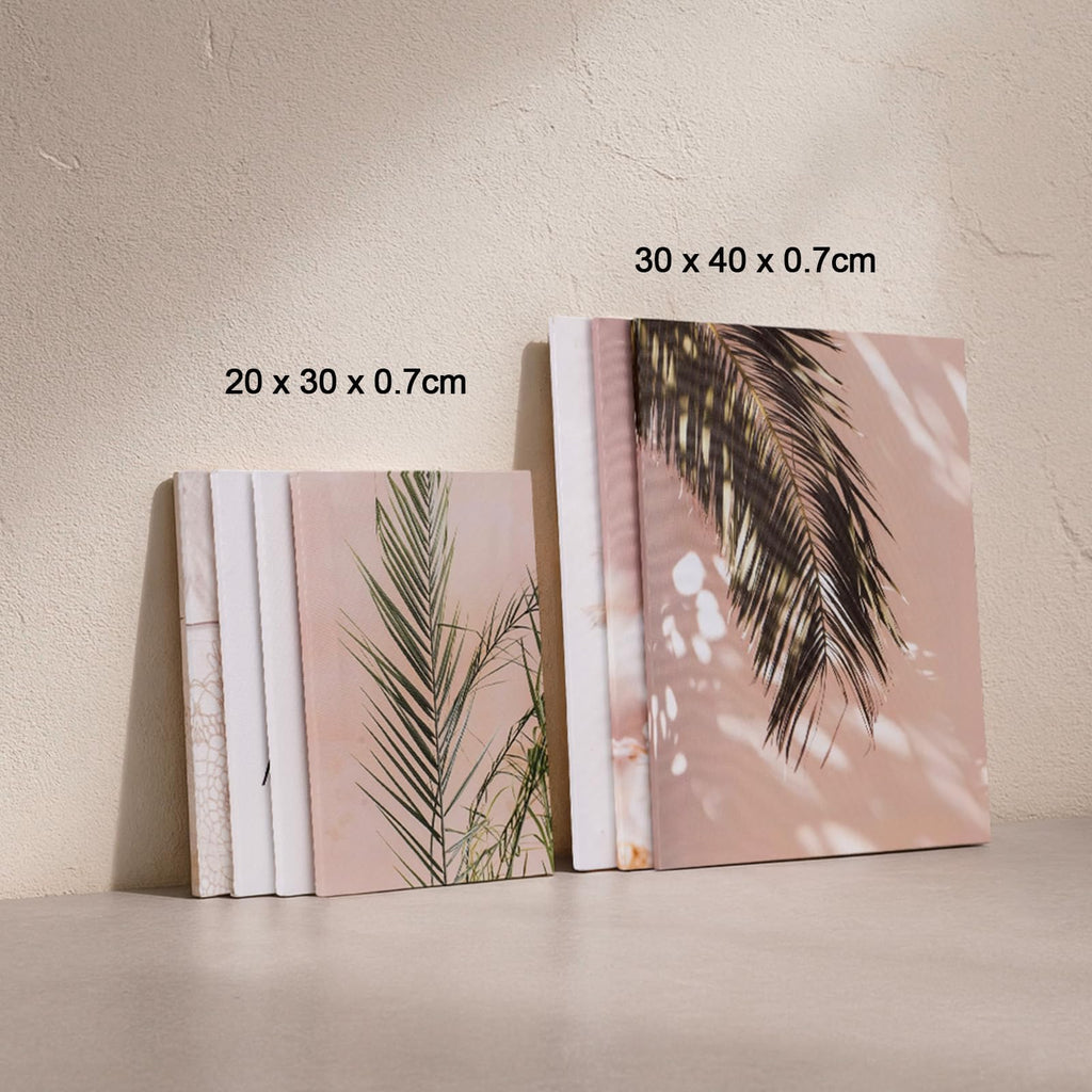 Premium Wandbilder-Set "Boho-Nature" (7-teilig) – Moderne Kunstdrucke mit Pampasgras & Naturmotiven für Wohn- & Schlafzimmer